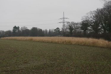 Biodiversität in Theorie und Praxis