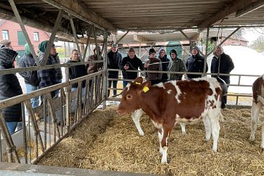 Wolbeck Kälberexkursion