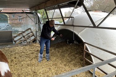 Wolbeck Kälberexkursion