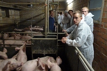 Studierende der Fachschule Wolbeck präsentieren ihre Betriebe