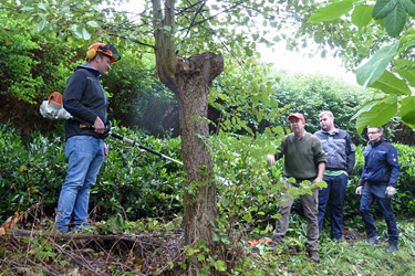 Praxis Biodiversität und Artenschutz