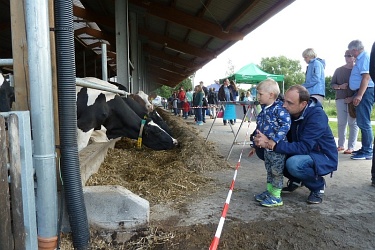 Hoftag in Wolbeck am 19.06.2016