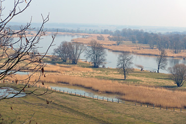 Oderbruch