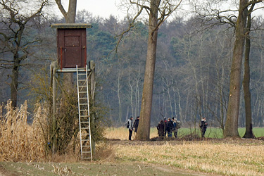 Projekt Münsterländer Parklandschaft 2.0