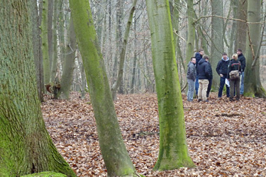 Mit Förstern in den Wolbecker Tiergarten