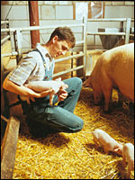 Landwirt mit Ferkel