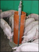 Düsser Wühlturm für Schweine
