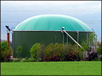 Fermenter einer Biogasanlage