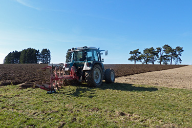 Grünlandumbruch im Sauerland