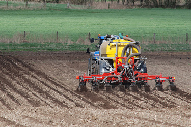 Strip-Till-Verfahren