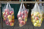 Apfeltüten. Foto: Hans Braxmeier, Pixabay