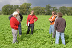 Berater im Feld