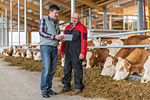 Berater und Landwirt im Milchviehstall. Foto: agrarfoto.com