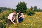 berateruferrand