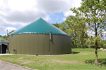 Biogasanlage zur Methangasemissionsminderung