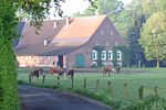 Biolandhof im Morgenlicht