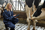 Dr. Katharina Dahlhoff arbeitet mit dem Programm Cows and more