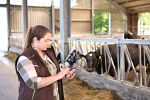 Digitalisierung Innenwirtschaft