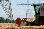 Mähdrescher vor Strommasten. Foto: Twan Wiermans