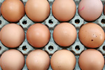 Eier in einer Palette. Foto: Wilhelm Irsch, piclease