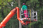 Fachagrarwirt Baumpflege und Baumsanierung