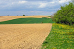 Felder im April