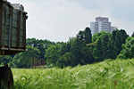 Stadtnahes Feld