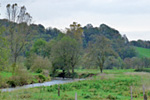 Flusslauf zwischen Weiden