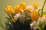 Frühlingsstrauß