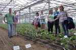 Mädchen beim Girls Day im Gewächshaus