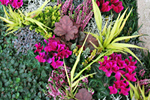 Herbstbepflanzung Bundesgartenschau Heilbronn