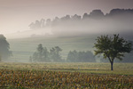 Hersbtlandschaft. Foto: Falk Herrmann, piclease