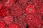 Himbeeren. Foto: Joachim Holstein, piclease