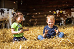 Hofhelden. Foto: Ferienhof Zur Hasenkammer