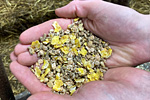Kälbermüsli