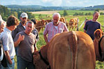 Diskussion auf der Kuhweide