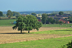 Landschaft bei Beckum