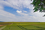 Landschaft im Bonner Süden