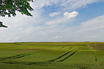 Landschaft im Bonner Süden