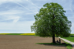 Landschaft in der Eifel. Foto: René Pelzer