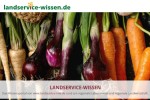 Landservicewissen