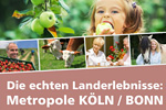 Die schönsten Landerlebnisse in der Metropole Köln-Bonn