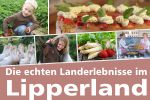 Die schönsten Landerlebnisse im Lipperland