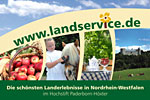 Die schönsten Landerlebnisse im Hochstift Paderborn-Höxter