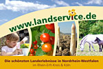 Die schönsten Landerlebnisse im Rhein-Erft-Kreis und Köln