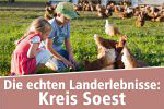 Die schönsten Landerlebnisse im Kreis Soest