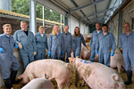 pigpoopickerteam
