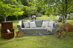 Ponies und Sofas im Garten. Foto: Engin Akyurt, pixabay.com