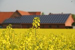 Raps vor einer Solaranlage