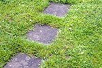 Steinplatten im Rasen. Foto: Susanne Fern, piclease
